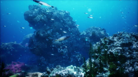 Wunderbare-Und-Schöne-Unterwasserwelt-Mit-Korallen-Und-Tropischen-Fischen